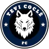 特维科克尔女足